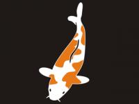 <a href="koi.html" title="Japanischer Koi Karpfen als Vektorgrafik für Schneidplotter">Koi Karpfen Vektorgrafik</a>