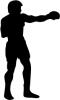 silhouette_boxer.jpg