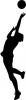 silhouette_handball_aufschlag.jpg
