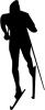silhouette_langlauf.jpg