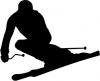 silhouette_ski_abfahrt.jpg