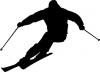 silhouette_ski_wedeln.jpg